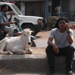 写真：Bhang Lassi